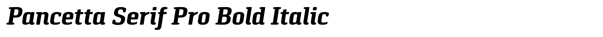 Pancetta Serif Pro Bold Italic image